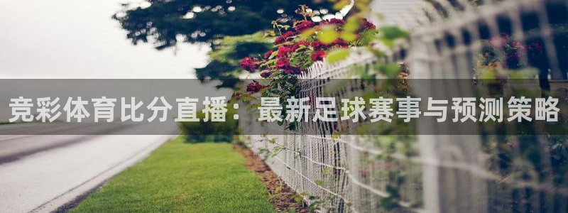 绿茵体育直播官网下载：竞彩体育比分直播：最新足球赛事与预测策略