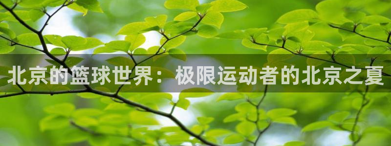 绿茵体育免费直播入口：北京的篮球世界：极限运动者的北京之夏