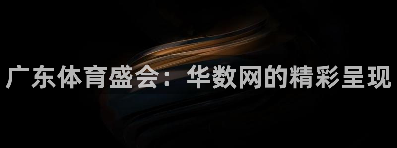 绿茵篮球直播：广东体育盛会：华数网的精彩呈现