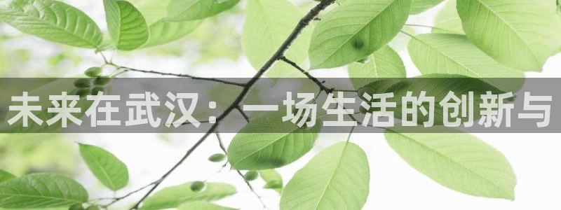 绿茵直播nba：未来在武汉：一场生活的创新与