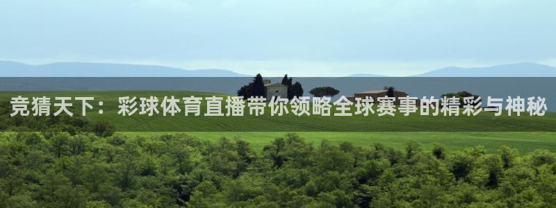 绿茵足球免费直播：竞猜天下：彩球体育直播带你领略全球赛事的精彩与神秘
