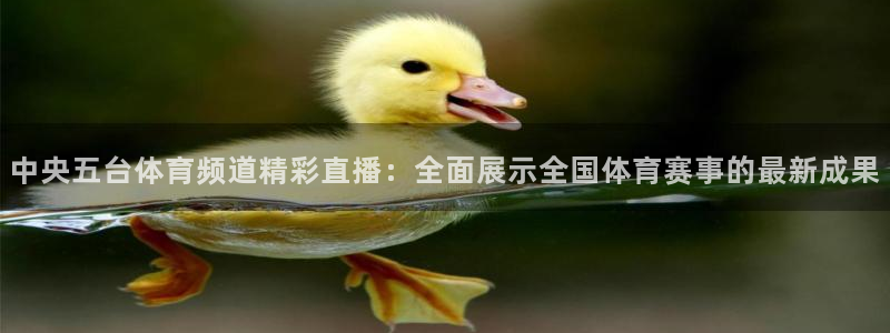 绿茵直播篮球：中央五台体育频道精彩直播：全面展示全国体育赛事的最新成果