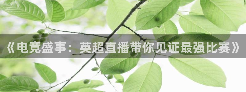 绿茵直播下载：《电竞盛事：英超直播带你见证最强比赛》
