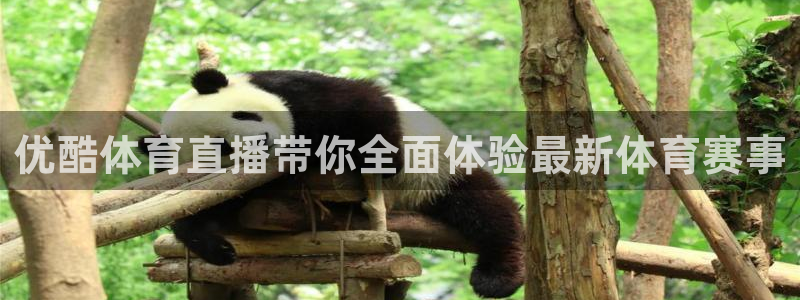 绿茵直播免费看球：优酷体育直播带你全面体验最新体育赛事