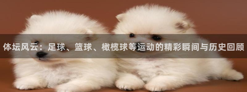 绿茵体育在线观看：体坛风云：足球、篮球、橄榄球等运动的精彩瞬间与历史回顾