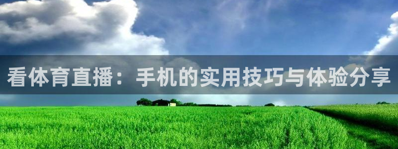 绿茵体育足球免费直播：看体育直播：手机的实用技巧与体验分享
