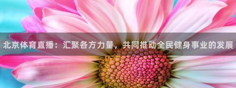 绿茵直播体育免费观看高清：北京体育直播：汇聚各方力量，共同推动全民健身事业的发展