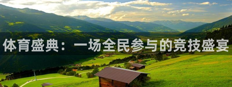 绿茵体育在线观看：体育盛典：一场全民参与的竞技盛宴