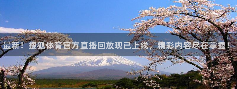 绿茵体育直播官网下载